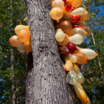 Campiello Barbaro Chandelier