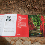 Chihuly Brochure