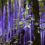 Neodymium Reeds on Logs