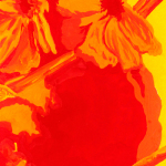 Study of Red 