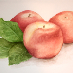 Apples