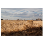 Field and Farm 1