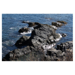 Cliff Walk