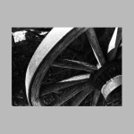 Past Motion