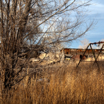 Rural Abandonment