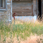 Rural Abandonment