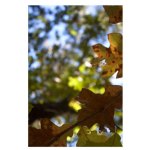 A Spectrum of Colors