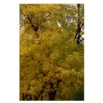 A Spectrum of Colors